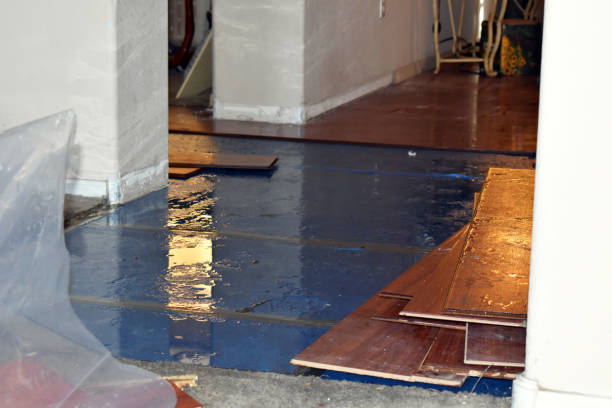 Professional Basement Flooding technician working in Riegelsville, PA